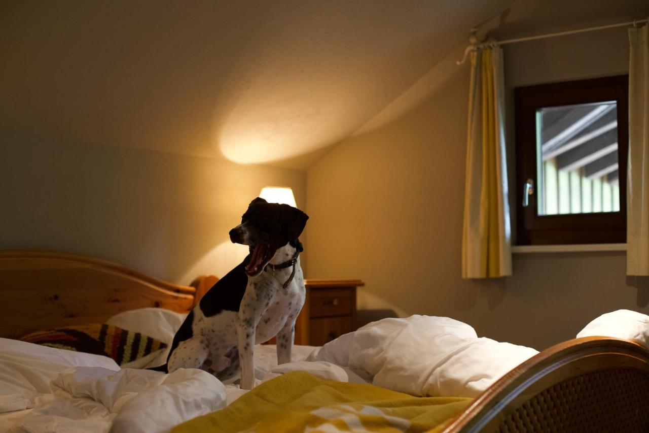 Budget Double or Twin Room
