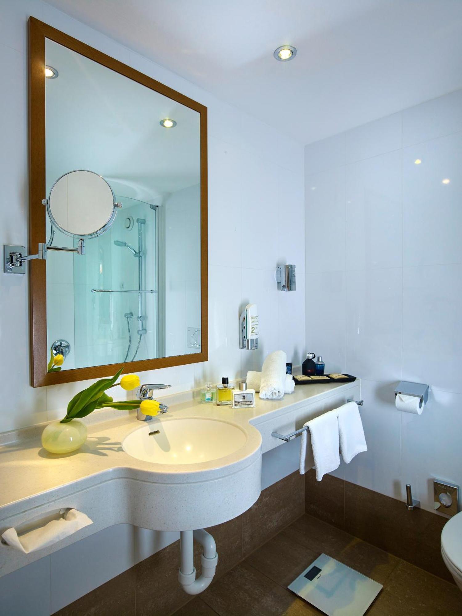 Double Room Mansarde Altstadt