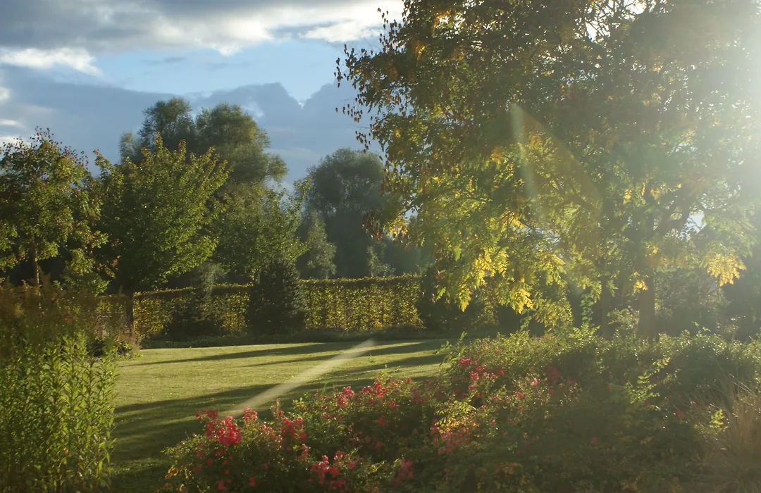 Landhotel Wachau - Bed And Breakfast-1