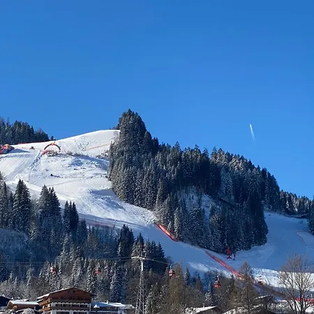 Hotel Edelweiss Kitzbuehel-2