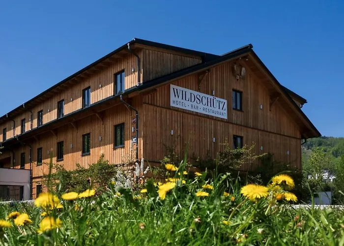 Aktivhotel Wildschuetz Altmuenster, Austria