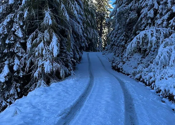 Aparthaus-Kiebitz Rennweg am Katschberg, Austria
